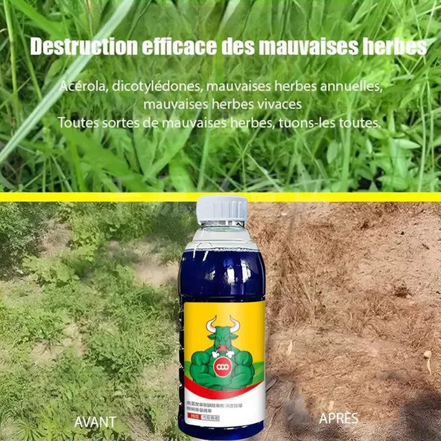 High-Concentration Glufosinate Herbicide All Crop (Pack of 2 - Buy 1 Get 1 Free)