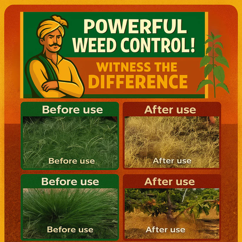 High-Concentration Glufosinate Herbicide All Crop (Pack of 2 - Buy 1 Get 1 Free)